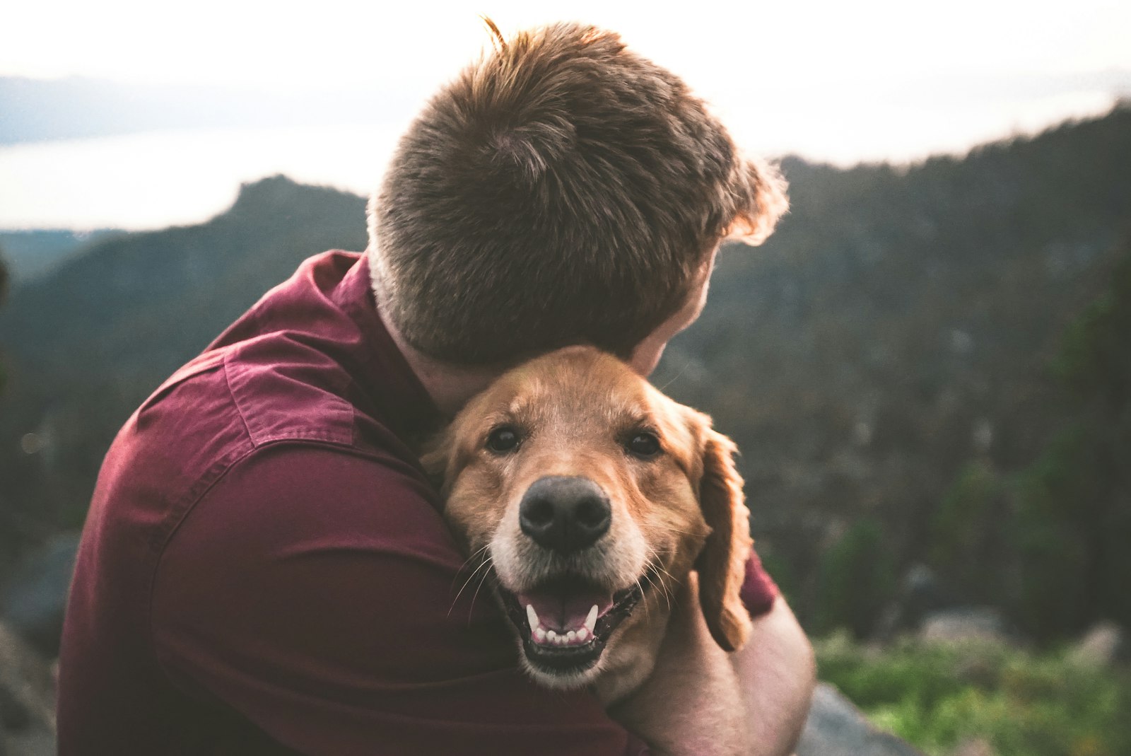 Man hugging his happy dog outdoors